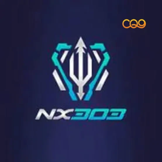 nx303